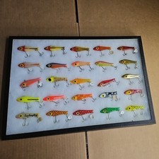 display fish for sale display fish for sale Houston