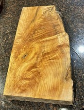 Big leaf maple for sale  Camas