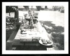 Vintage polaroid photo for sale  Deland