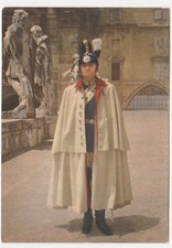 Vaticano guardia nobile usato  Isola Vicentina