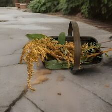 Vintage garden trug for sale  Fort Lauderdale