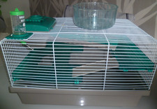 Syrian hamster home. for sale  BOLTON