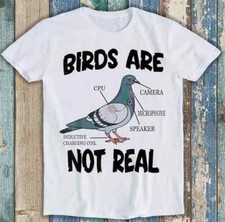 Pigeon birds real for sale  READING