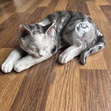 Grey kitten shudehill for sale  MANCHESTER