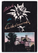 P01421 cartolina castelmonte usato  Rozzano