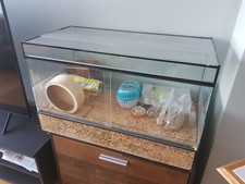 Terrarium 120x60x60 glas gebraucht kaufen  Seefeld