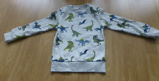dinosaurier pullover gebraucht kaufen dinosaurier pullover gebraucht kaufen Zusmarshausen