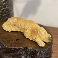 Living stone golden for sale  San Tan Valley