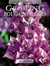 Growing bougainvilleas for sale  Little Falls