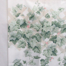 Springs ivy rose for sale  Milwaukee
