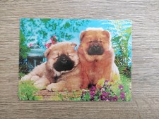 Chow chow welpen gebraucht kaufen  Borna