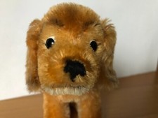 Steiff dackel halsband gebraucht kaufen  Detmold