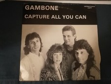 Gambone capture all usato  Savigliano