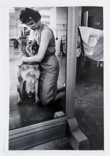 1965 service dog for sale  Chattanooga