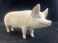 Beswick pig boar for sale  KIDDERMINSTER