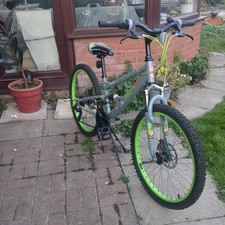 Apollo creed kids for sale Apollo creed kids for sale  RHYL