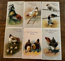 Lot roosters chickens for sale  Saint Augustine