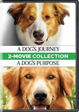 Dog journey dog for sale  Minneapolis