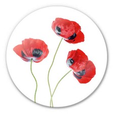 Glasbild disher mohnblumen gebraucht kaufen  Kempten (Allgäu)