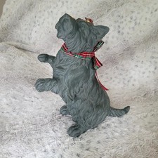 West highland terrier for sale  Saint Cloud