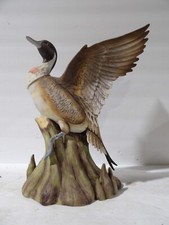 Ski country ducks for sale  Turners