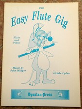 Easy flute gig for sale  NORWICH