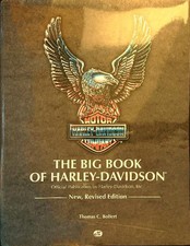 The big book usato  Italia