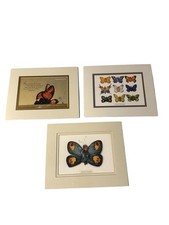Anne geddes matted for sale  Keithville