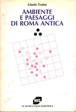 Ambiente paesaggi roma usato  Cambiago
