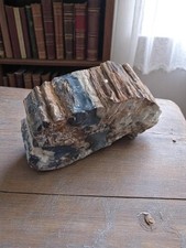 Plaque bois fossilisé d'occasion  Marseille XII
