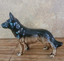 Black brown german for sale  Cortland