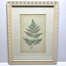 Framed vintage botanical for sale  Germantown