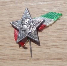 Distintivo spilla leva usato  Volvera