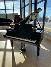 Henry miller ebony for sale  Rockville