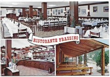 Peschiera del garda usato  Pistoia