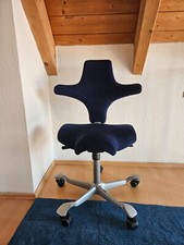 Håg capisco 8106 gebraucht kaufen  Tübingen