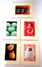 Anne geddes babies for sale  Cave Creek