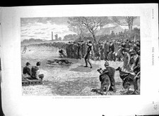 Old 1890 rabbit for sale  UK