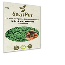 Saatgut mikroklee pipolina gebraucht kaufen  Bardowick
