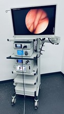 Stryker 1488hd high gebraucht kaufen  Fritzlar