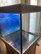 cube aquarium for sale cube aquarium for sale STOKE-ON-TRENT