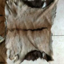 1pcs real goat for sale  UK