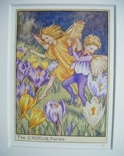 Vtg flower fairies for sale  TELFORD
