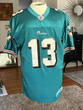 Dolphins great dan for sale  Seattle