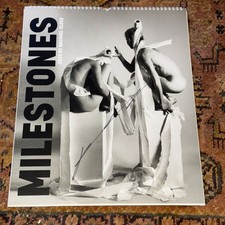 2025 milestones calendar for sale  NEWCASTLE