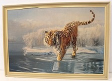 siberian tiger for sale siberian tiger for sale LEEDS