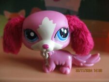 Petshop dog cavalier d'occasion  Expédié en Belgium