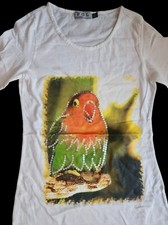 New pol lovebird for sale  Burtonsville