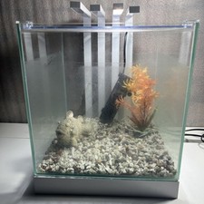 Ciano shrimp small for sale  LONDON