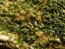 Pyromorphite haute loire d'occasion  Bas-en-Basset